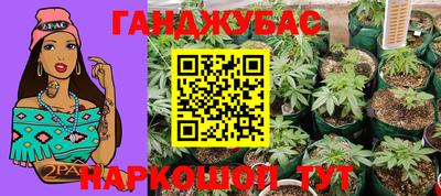 индика Партизанск
