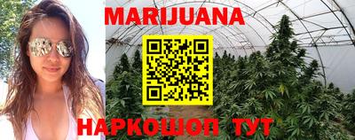 шишки Пенза