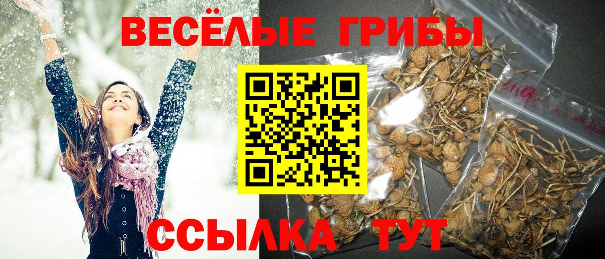 Псилоцибиновые грибы ЛСД Новоуральск
